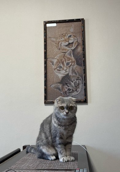 Работа «№100548»