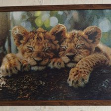 Работа «Львята»