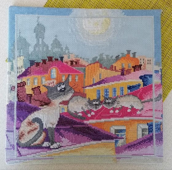 Работа «Котик на крыше»