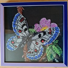Работа «Бабочка. бисер»