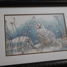 Работа «Northwind Owl»