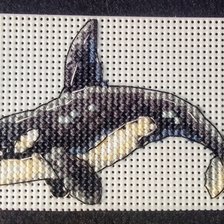 Работа «Косатка»