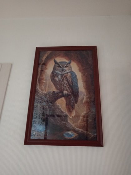 Работа «Сова»
