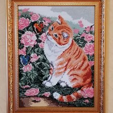 Работа «Рыжий кот и бабочки»