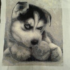 Работа «Щенок хаски»