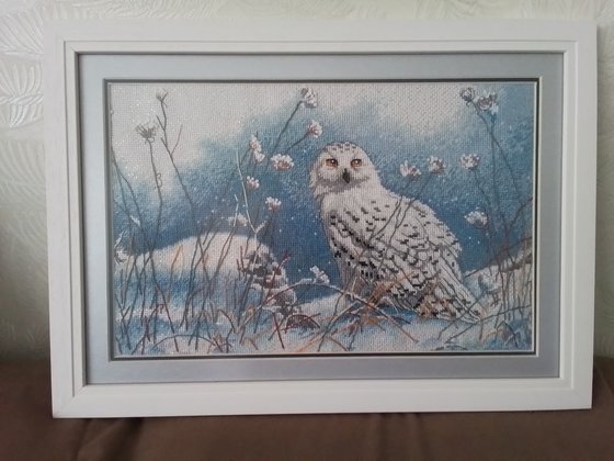 Работа «Зимняя сова»