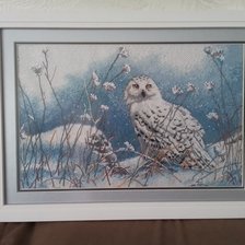 Работа «Зимняя сова»