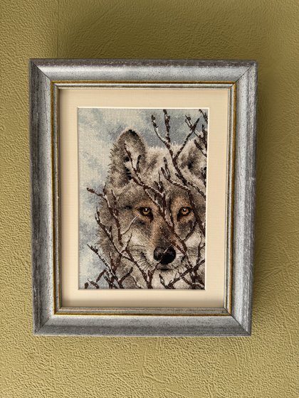 Работа «Волк от Dimensions»