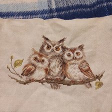 Работа «Совушки»