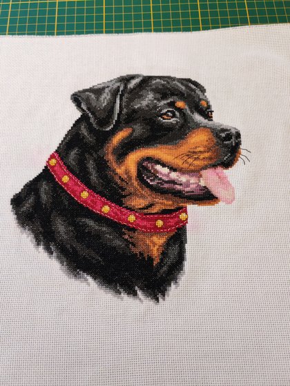 Работа «Ротвейлер»