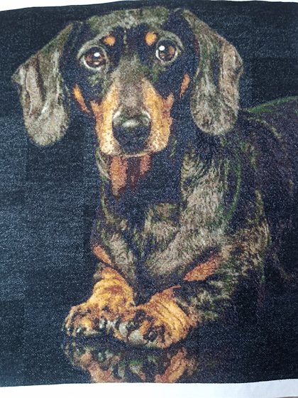 Работа «№101047»