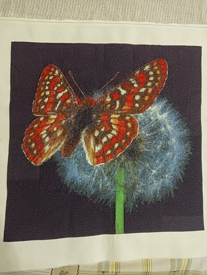 Работа «Бабочка»