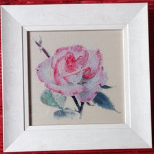 Работа «Роза 7»