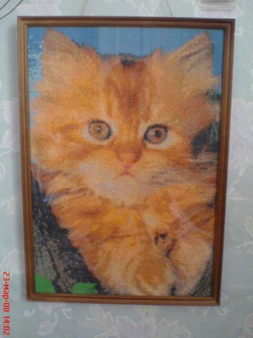 Работа «Рыжий кот.»