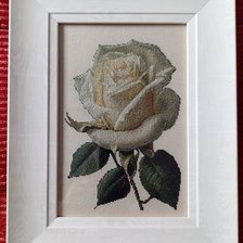 Работа «Роза 8»