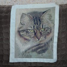 Работа «Важный кот»