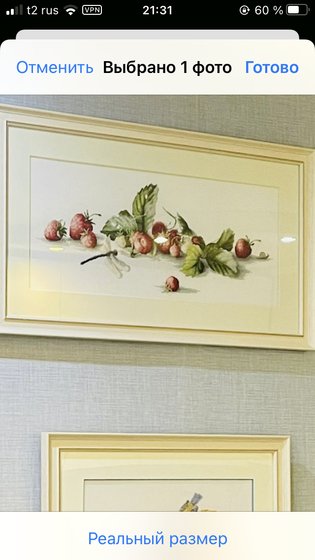 Работа «Клубника и стрекозы»