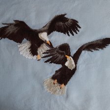 Работа «"Орлы над каньоном",  ВТ- 054,Чаривна Мить.»