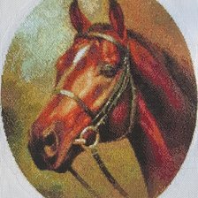Работа «Лошадь (портрет)»