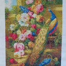 Работа «Павлин Великолепный»