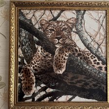 Работа «Леопард от Риолис»