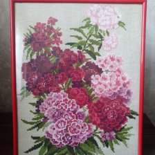 Работа «Турецкая Гвоздика»