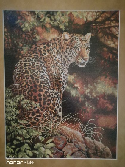 Работа «Леопард»