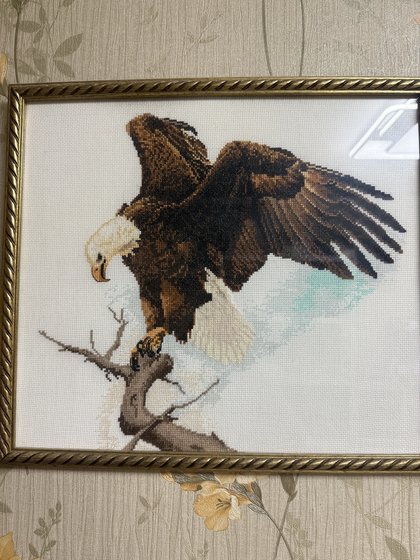 Работа «Белый орлан»