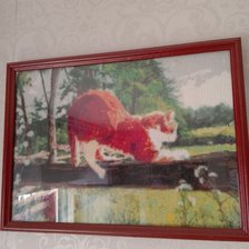 Работа «Рыжий кот»