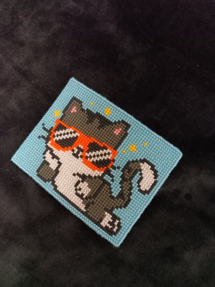 Работа «Котомагнит»