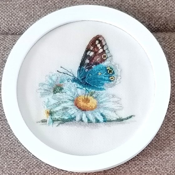 Работа «Хрупкая красота.»