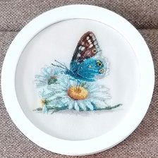 Работа «Хрупкая красота.»