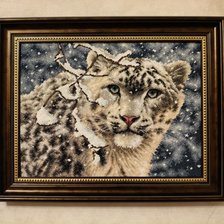 Работа «Снежный барс»