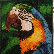 Работа «Попугай бисер»