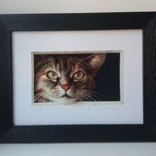 Работа «Пират»