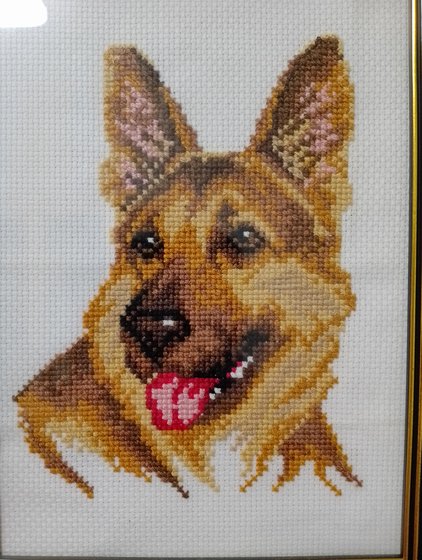 Работа «Овчарка»