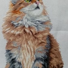 Работа «№101707»