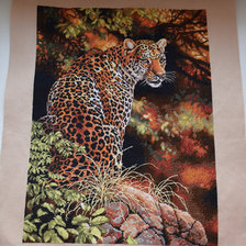 Работа «Leopard`s Gaze»