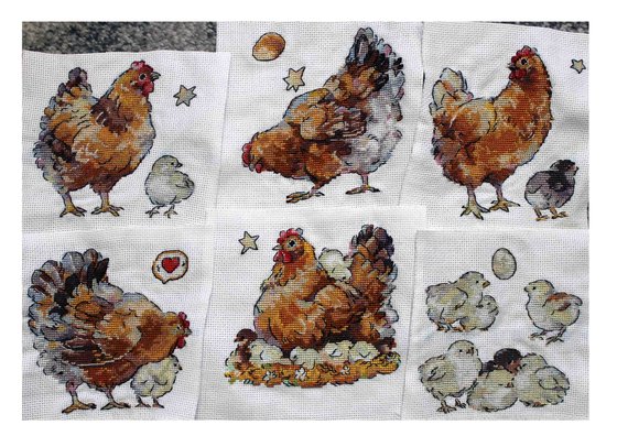 Работа «Курочки Пеструшки»