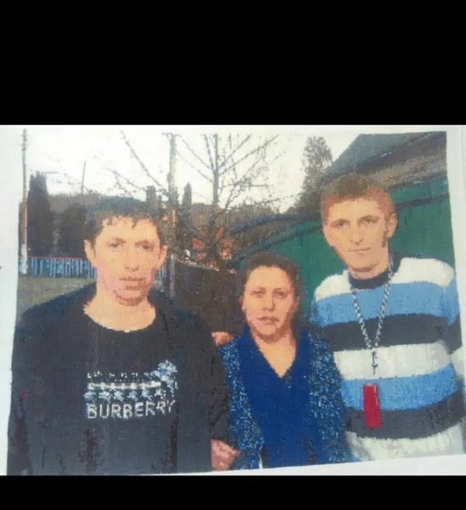 Работа «Я и мои братья»