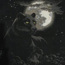 Работа «Пантера в ночи. Вышита давно. 45см×60см»