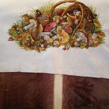 Работа «Грибы, Мережка»