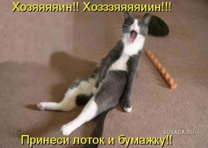 Весёлые картинки №167