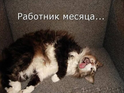 Весёлые картинки №451