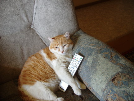 Весёлые картинки №1477