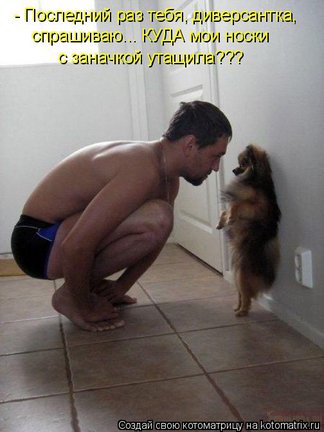 Весёлые картинки №1724