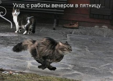 Весёлые картинки №2347