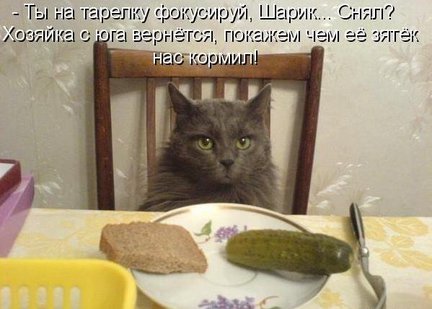 Весёлые картинки №2484