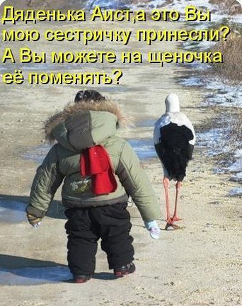 Весёлые картинки №2488