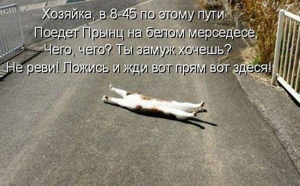 Весёлые картинки №2492